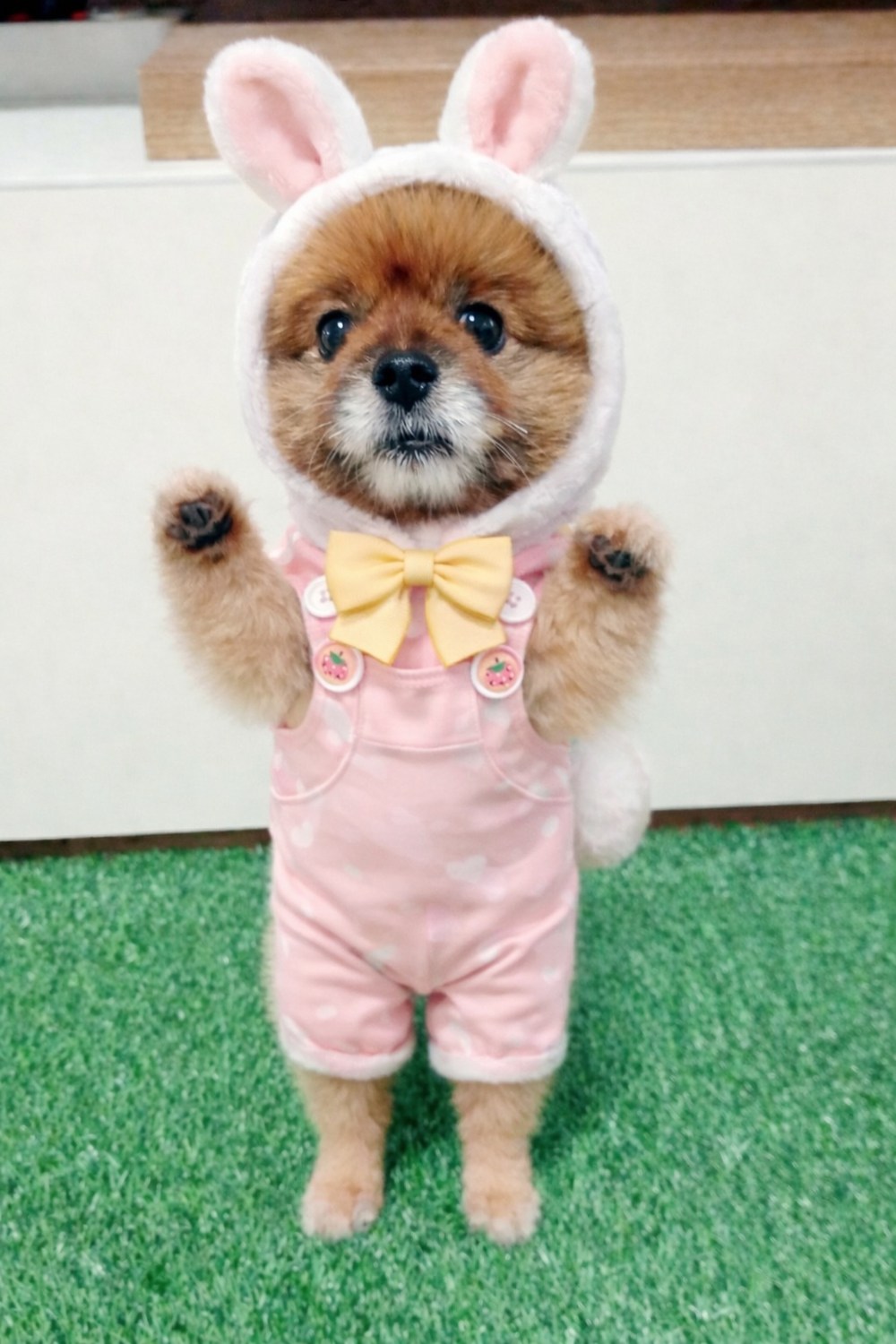 1+1 대용량 수납장 접이식 리빙박스 다용도 옷 이불 정리함 구매 후기 이미지
